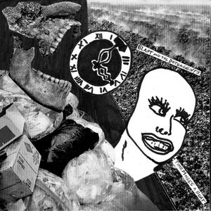 Tampa Tried to Kill Patti Smith