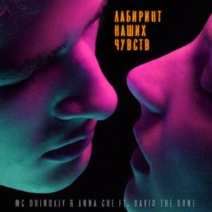 Лабиринт наших чувств