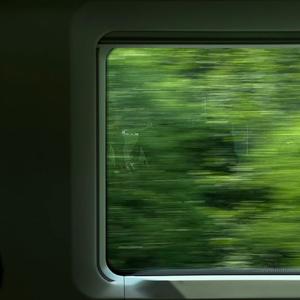 我的生命是奔涌的绿色