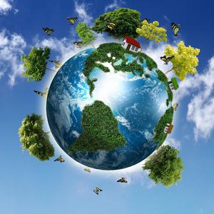 Gusheshe (feat. murema)