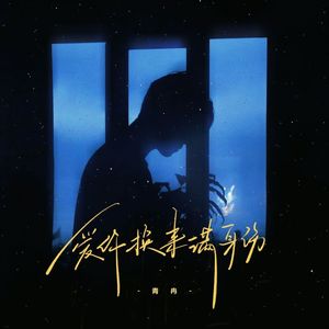 爱你换来满身伤