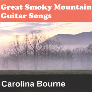 Hendersonville Guitar Blues