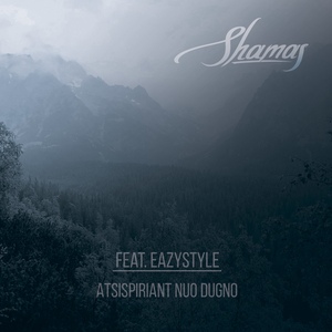 Atsispiriant nuo Dugno