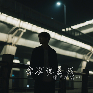 你没说爱我
