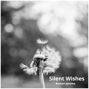 Silent Wishes