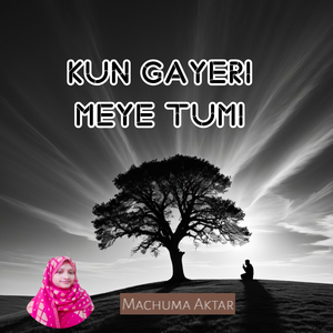 Kun Gayeri Meye Tumi