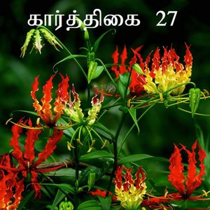 Karthigai 27