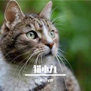 猫小九