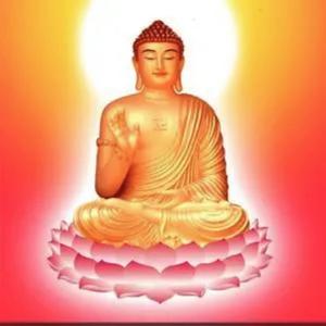 南无阿弥陀佛（提升能量）