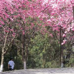 纽约到巴黎 live (Prod by Breezy Beats)