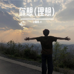 你想（理想 ）