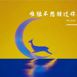 唯独不想错过你