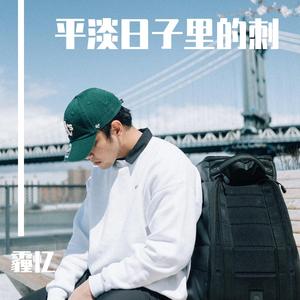 平淡日子里的刺（cover 宋冬野）