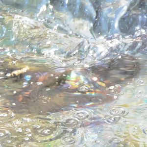 你的crush降临了吗