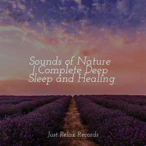 Mystical Canopy of Quietude