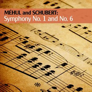 Symphony No. 1 in G Minor: IV. Finale