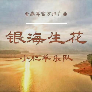 银海生花【金燕耳官方推广曲】