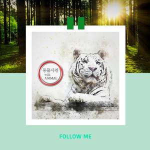 일본의 네코와도 친해질 수 있는 사랑의 세레나데