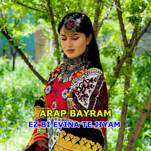 Tu Carî Nikare Bikene