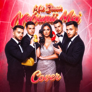 Ma Suna Nebunii Mei (Cover)