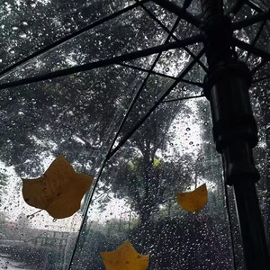 时间煮雨