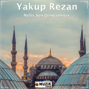 Nefis Sen Ölmezmisin