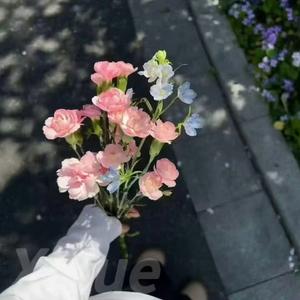 胆小鬼 (R&B男生版)