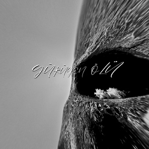 Haysiyet - Yürüyen Ölü