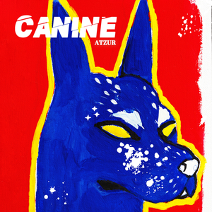 Canine