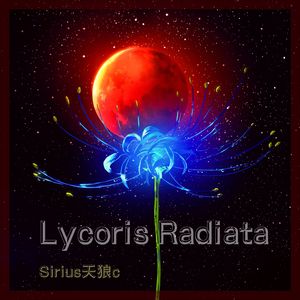 Lycoris Radiata