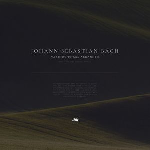Harpsichord Concerto No. 7 in G Minor, BWV 1058: I. No tempo marking (Arr. for Solo Piano)