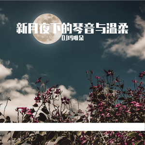 新月夜下的琴音与温柔