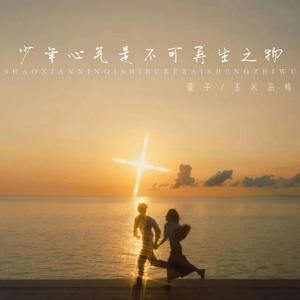 少年心气是不可再生之物