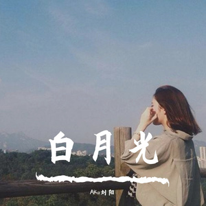 白月光