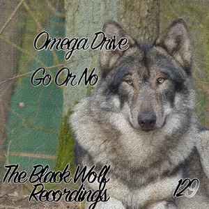 In Ass (Original Mix)