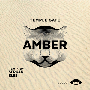 Amber (Serkan Eles Remix)