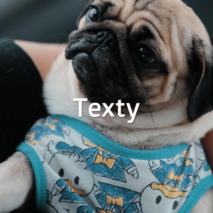 Texty