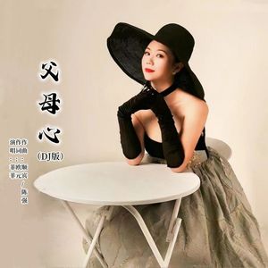 父母心（DJ版）