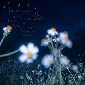 ALAS (INTERLUDIO)