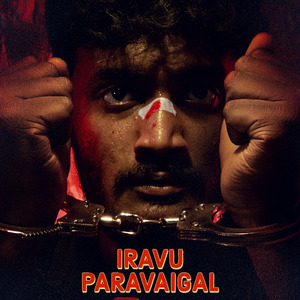Iravu Paravaigal Theme