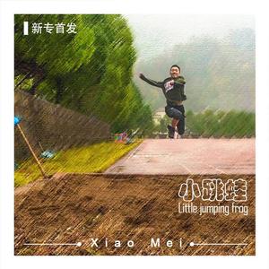 小跳蛙