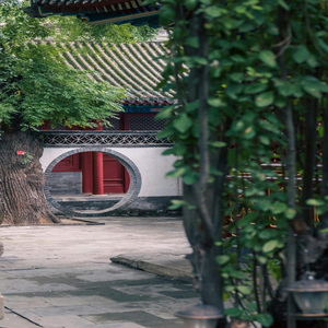 টাকার জন্য আমি সব কাজ করতে পারি