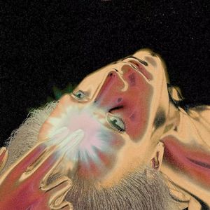 玫瑰刺猬 & 红酒咖啡