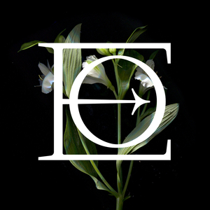 You Are the One (Adanowsky)