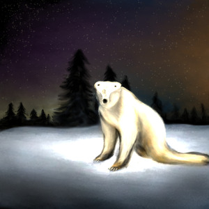 Polar Bear 2026