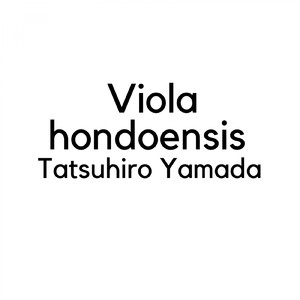 Viola hondoensis