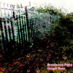 Waiting For The Shy To Drop