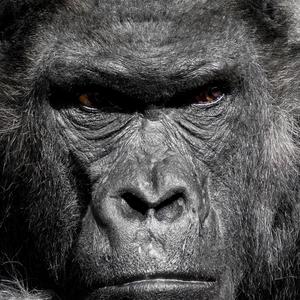 Here we go (Instrumental) (Instrumental)