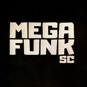 MEGA FUNK COISAS DA VIDA