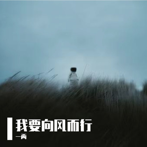 逆风也想抱紧你